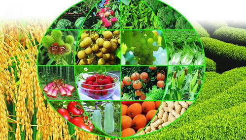 工廠停產下的農業機遇 蔬菜產業能否迎來大發展？