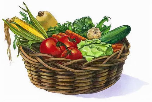 節(jié)前走訪菜市場(chǎng) 貨源充足價(jià)格穩(wěn)，新春苗木添綠意